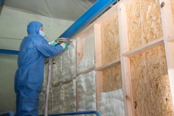 Best Crawl Space Insulation  in Becker, MN